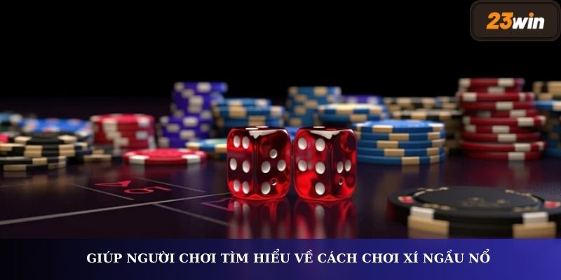 Giúp người chơi tìm hiểu cách chơi xí ngầu nổ
