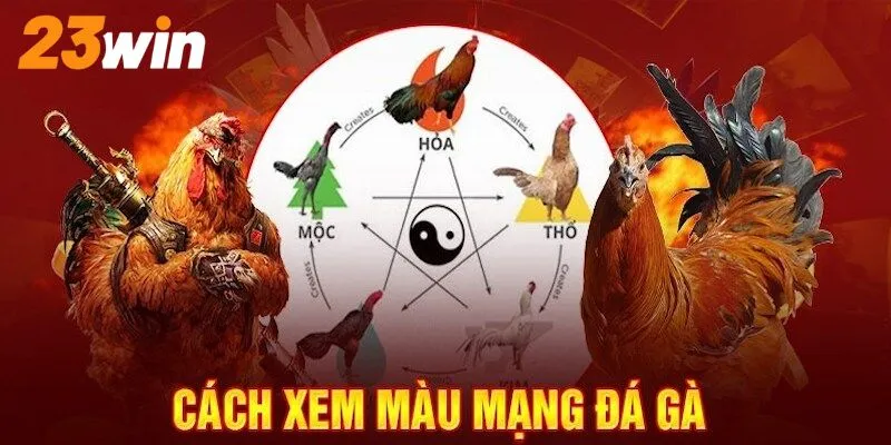 Ý nghĩa màu mạng đá gà theo phong thuỷ ngũ hành