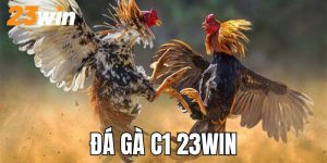 đá gà C1