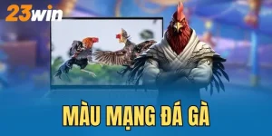 màu mạng đá gà