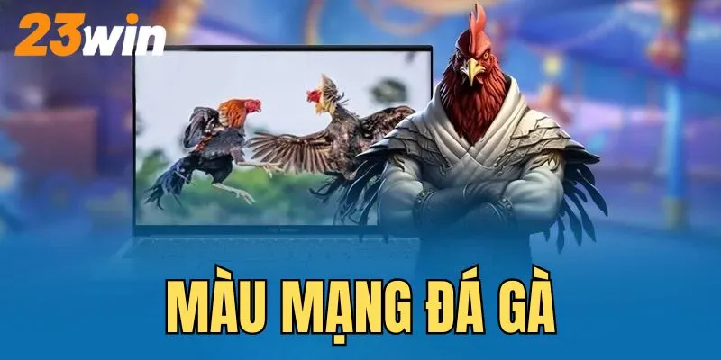 màu mạng đá gà