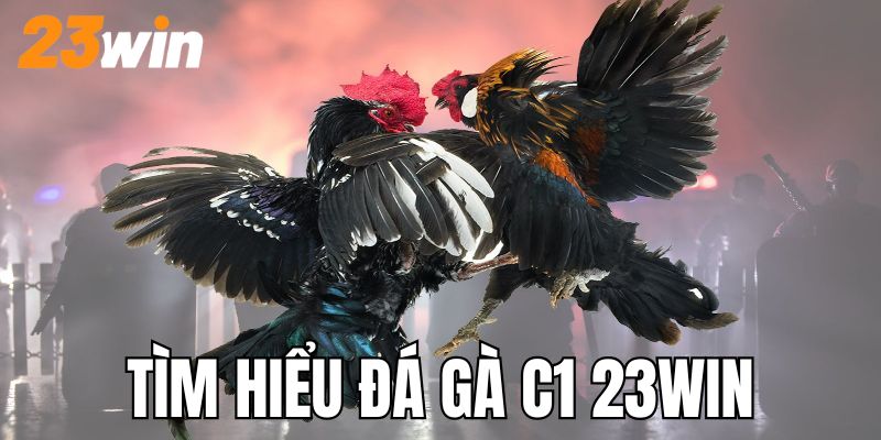 Tìm hiểu về sân chơi đá gà hấp dẫn nhất nhì 23WIN