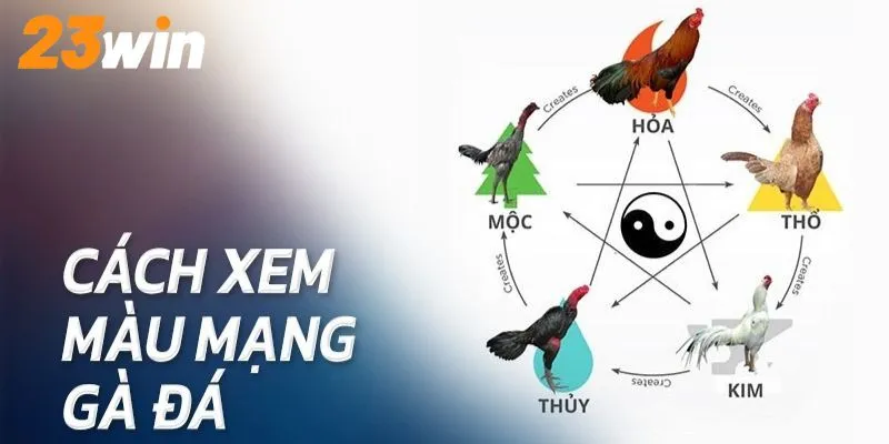 Ý nghĩa mệnh của chiến binh theo các màu sắc phong thuỷ